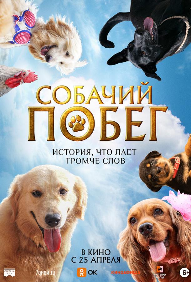 Фильм Собачий побег (2023) смотреть онлайн бесплатно